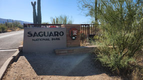 Saguaro NP--Eastern Unit