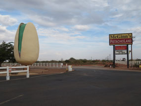 The World's Largest Pistachio