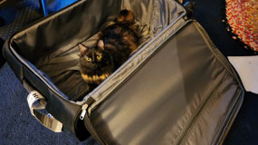 No!  You cannot leave again!