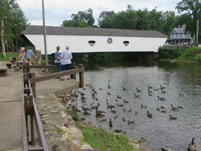 Here come the ducks and geese!