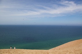 Looking Down the Shore
