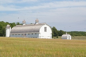 Picturesque Barn