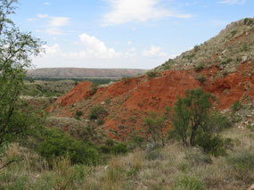 Red soils with dolomite on top