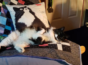 Happy Cat
