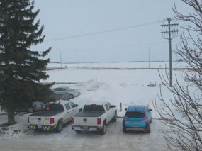 The view out my new window