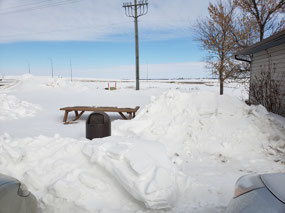 Picnic anyone?