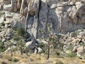 Can you spot the climber?