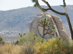 Do you see the rock climbers?