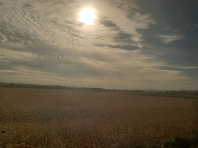 Minnesota from the Train