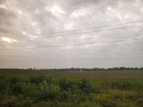 Indiana Farmland