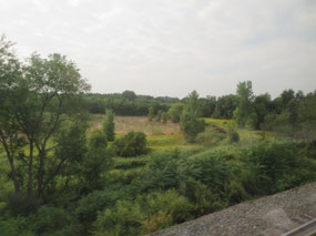 Indiana scenery