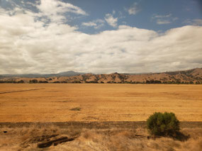 Scenes from Northern CA