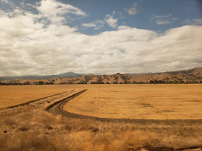 Scenes from Northern CA
