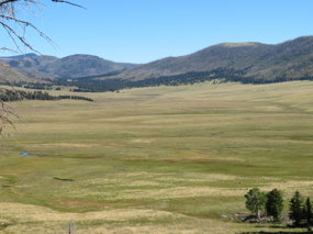 Valle Grande from the Overlook on 4