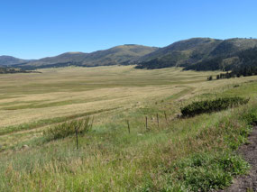 Valle Grande from the Overlook on 4