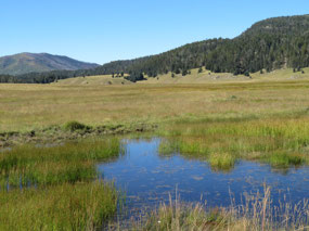 River through the valley