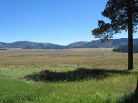 View from the cabins
