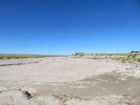 Dry river in the park
