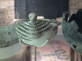 Bird Bowl