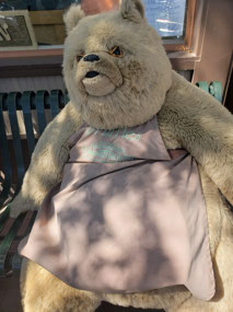 This bear cannot eat chocolates