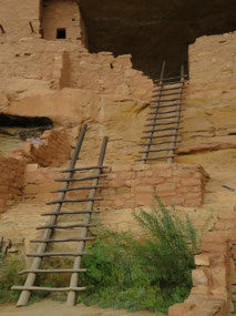Those ladders