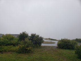 View out our window in the rain