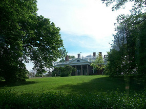 The front yard