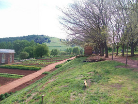 Vegetable gardens