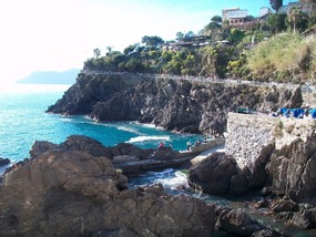 Harbor