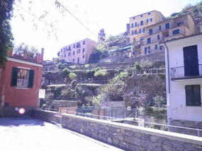 Vernazzo