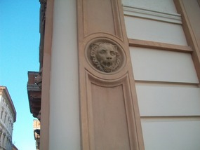 Another lion