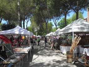 Flea market at the lake