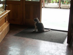 Another patron where we ate lunch