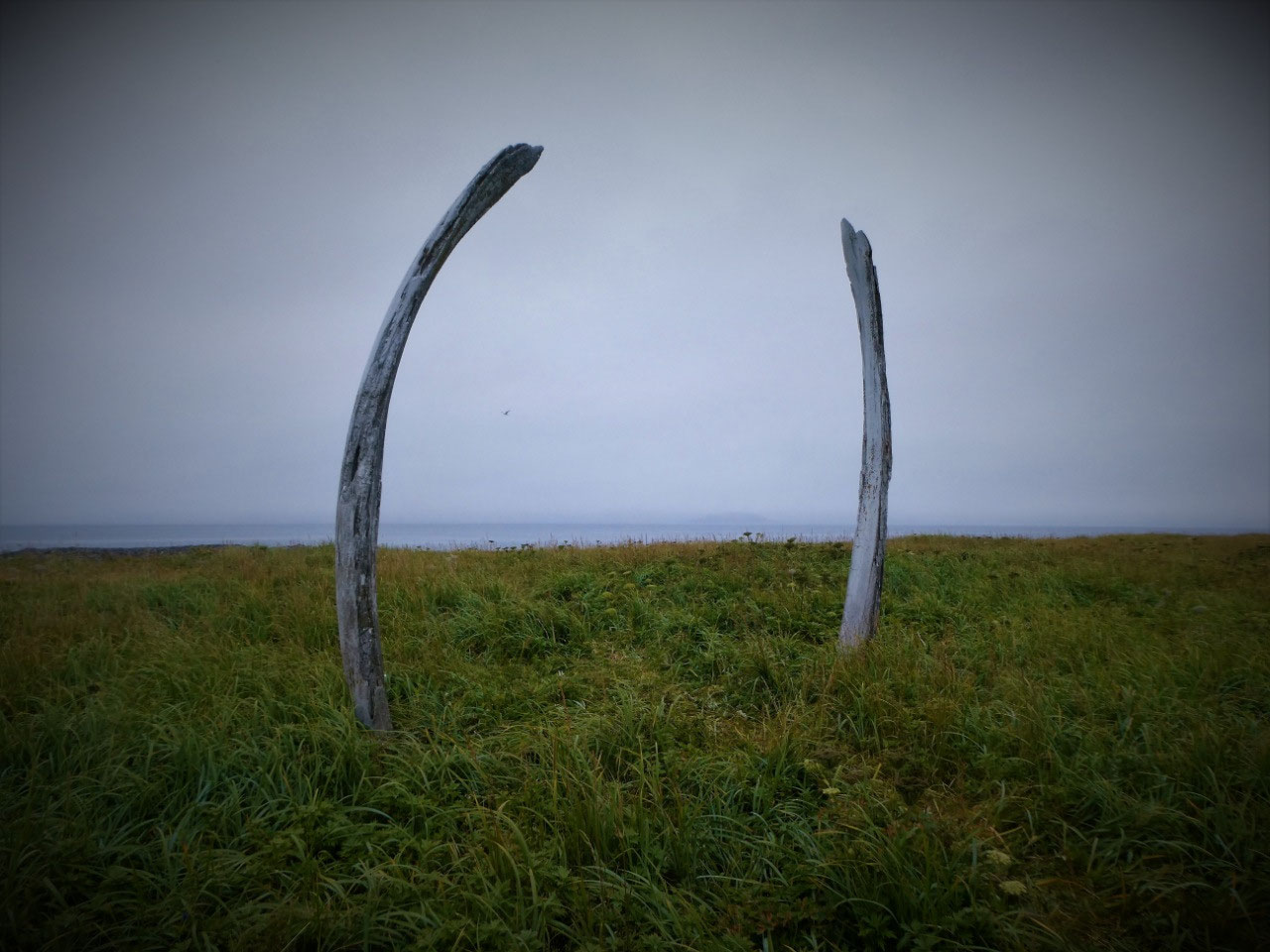 Haunting 'Whale Bone Alley' is Siberia's version of Stonehenge