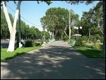 Tree Scaped Parks of Tashkent