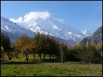 Verdant Pastures, Orchards and Snow Capped Peaks