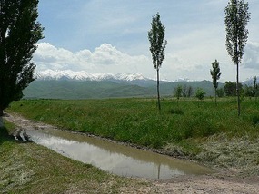 We Stop for Ten Minutes in Kazakhstan
