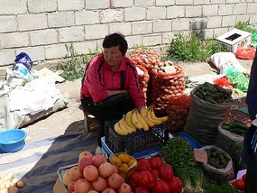 Kyrgyz Woman at Fresh Markets