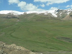 Shaved Green Corduroy Pastures