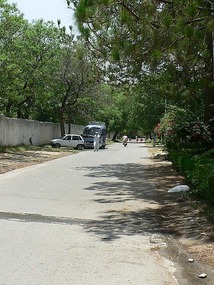 Leafy Green Streets of Islamabad