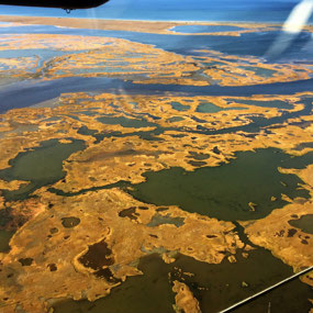 Lacework of Lakes Near Pevek