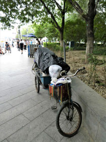 Reminder of the Past - Merchant's Bike