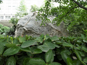 Intriguing Rock Features