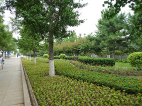 Sculptured Gardens