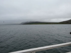 Fog Begins to Lift