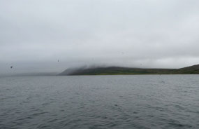 Greeted by a Cold and Bleak Morning