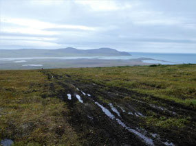 But Plenty of Peat....