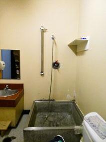 ...And the Shower Was, Well.....