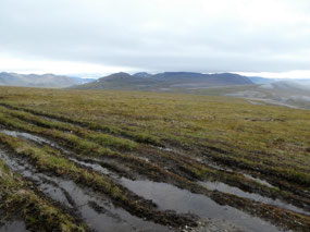 Why There are No Roads