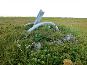 Remains of Roof of Underground House